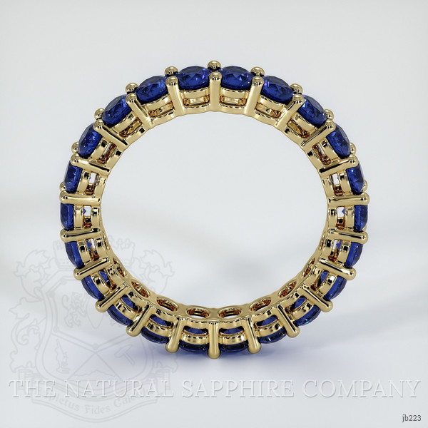 14K Yellow Gold Blue Sapphire Eternity Wedding Band