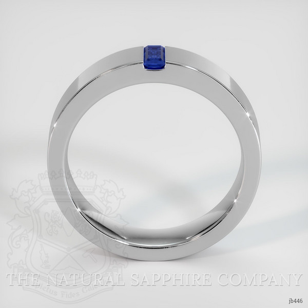 14K White Gold Blue Sapphire Men's Wedding Band