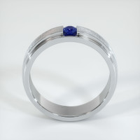 Platinum 950 Blue Sapphire Men's Wedding Band Image