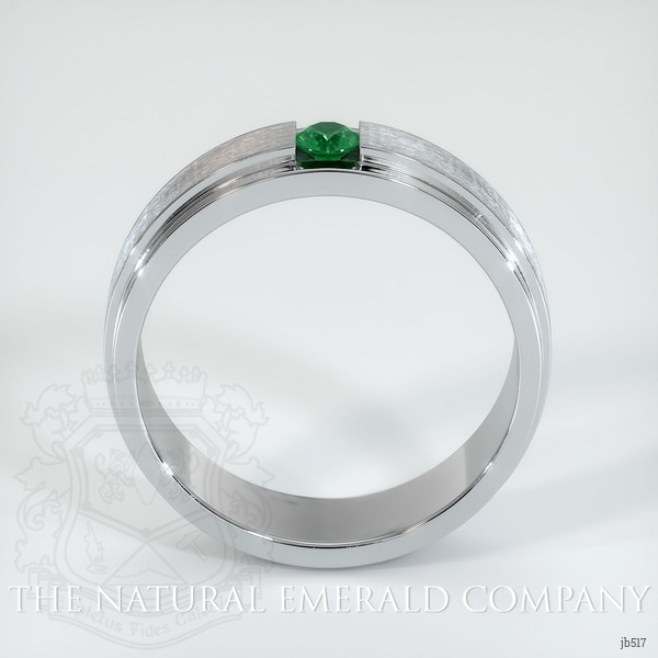 Platinum 950 Emerald Men's Wedding Band