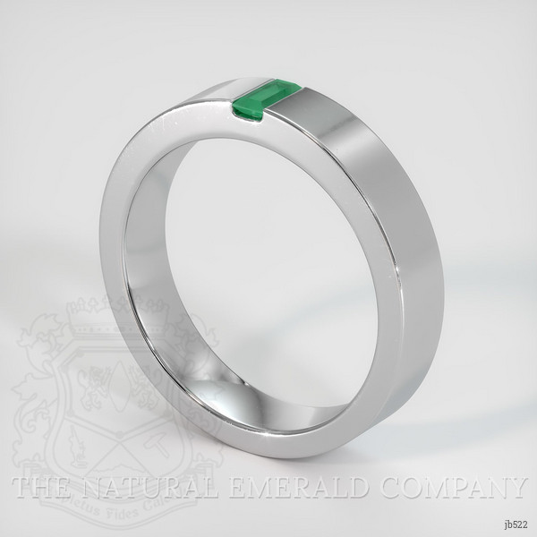 18K White Gold Emerald Men's Wedding Band