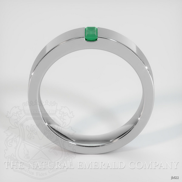 18K White Gold Emerald Men's Wedding Band