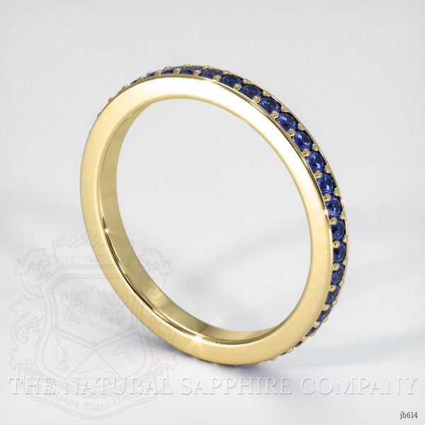 14K Yellow Gold Blue Sapphire Eternity Wedding Band