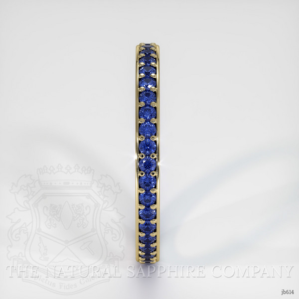 14K Yellow Gold Blue Sapphire Eternity Wedding Band