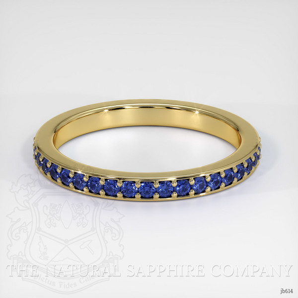 18K Yellow Gold Blue Sapphire Eternity Wedding Band