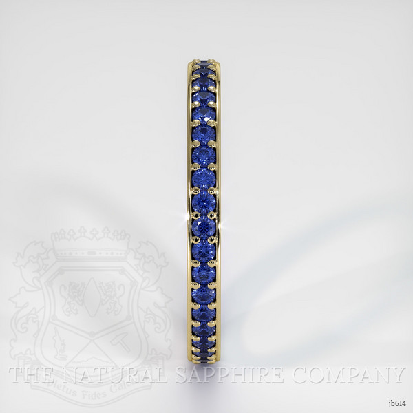 18K Yellow Gold Blue Sapphire Eternity Wedding Band