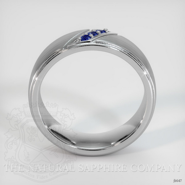 18K White Gold Blue Sapphire Men's Wedding Band