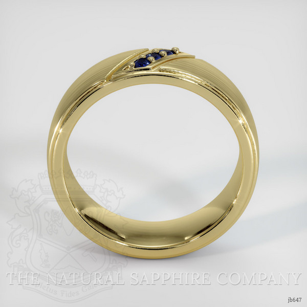 14K Yellow Gold Blue Sapphire Men's Wedding Band