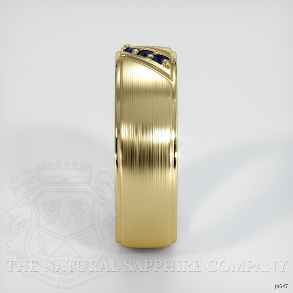 14K Yellow Gold Blue Sapphire Men's Wedding Band
