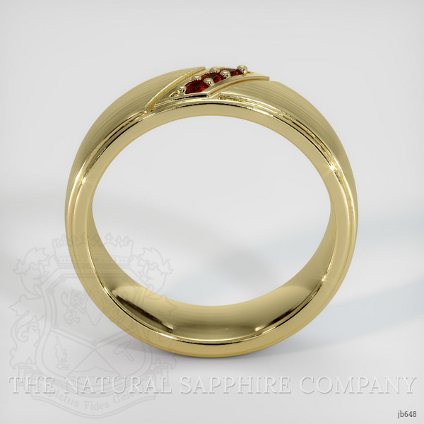14K Yellow Gold Ruby Men's Wedding Band