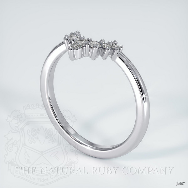 14K White Gold Diamond and Diamond and Diamond Prong Wedding Band