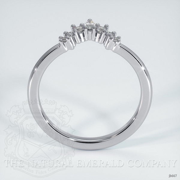 18K White Gold Diamond and Diamond and Diamond Prong Wedding Band