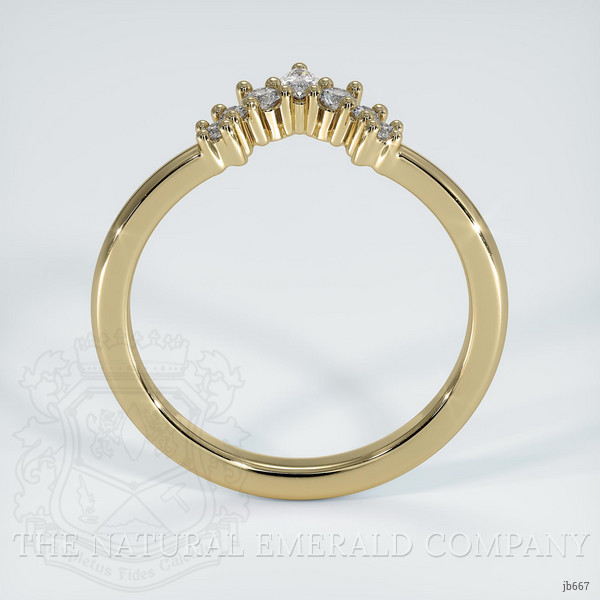 18K Yellow Gold Diamond and Diamond and Diamond Prong Wedding Band