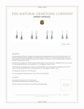 3.98 Ct.Tw. Aquamarine Natural Diamond Pave Earrings, 18K White Gold Appraisal