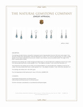 3.98 Ct.Tw. Aquamarine Natural Diamond Pave Earrings, 18K White Gold Appraisal