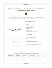 0.62 Ct.Tw. Blue Sapphire and Natural Diamond Bangle Bracelet, 14K White Gold Scan Report