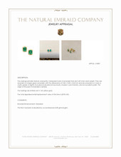 0.49 Ct.Tw.Total Carat Weight Emerald Studs Earrings, 14K Yellow Gold Appraisal
