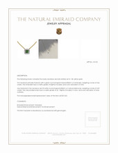0.06 Ct. Emerald Natural Diamond Pave Necklace, 14K Yellow Gold Appraisal