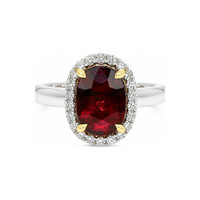 3.03 Ct. Ruby and Natural Diamond Pave Ring, 18K White & Yellow Video