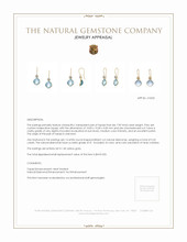 7.90 Ct.Tw. Topaz Natural Diamond Accent Stones Earrings, 14K Yellow Gold Appraisal