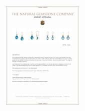10.27 Ct.Tw.Total Carat Weight Blue Topaz and Natural Diamond Accent Stones Earrings, 14K Yellow Gold Appraisal