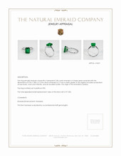 3.86 Ct. Emerald Solitaire Ring, Platinum 950 Appraisal