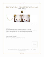 14.00 Ct. Garnet Bezel Necklace, 14K Yellow Gold Appraisal