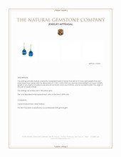 22.75 Ct.Tw.Total Carat Weight Blue Topaz Drops Earrings, 18K Yellow Gold Appraisal