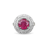 4.50 Ct. Ruby Natural Diamond Pave Ring, 14K White Gold Image