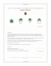 8.19 Ct. Emerald Natural Diamond Floral Ring, Platinum 950 Appraisal