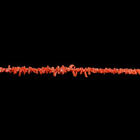 121.38 Ct. Coral Multi Stone Necklace, 18K Yellow Gold Image