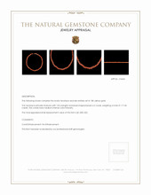 117.45 Ct. Coral Multi Stone Necklace, 18K Yellow Gold Appraisal