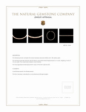 151.66 Ct. Coral Multi Stone Necklace, 18K Yellow Gold Appraisal