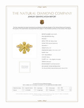 2.10 Ct. Yellow Natural Diamond and Natural Diamond Pave Ring, 18K Yellow Gold Scan Report