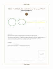 9.71 Ct. Emerald Accent Stones Necklace, 14K Yellow Gold Appraisal