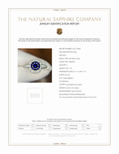 1.37 Ct. Blue Sapphire and Natural Diamond Pave Ring, 18K White Gold Scan Report