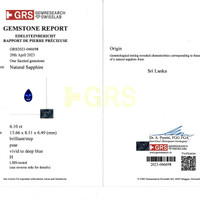 7.19 Ct.Tw.Total Carat Weight Sapphire Sapphire Drops Earrings, Platinum 950 Scan Report