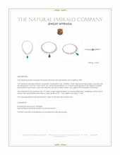 18.58 Ct. Emerald and Natural Diamond Halo Necklace, Platinum 950 Appraisal