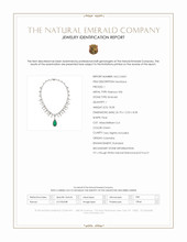 18.58 Ct. Emerald and Natural Diamond Halo Necklace, Platinum 950 Scan Report
