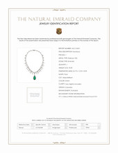 18.58 Ct. Emerald Natural Diamond Halo Necklace, Platinum 950 Scan Report