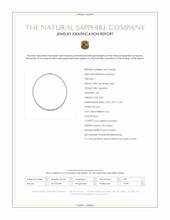 2.86 Ct. Blue Sapphire and Natural Diamond Pave Necklace, 14K White Gold Scan Report