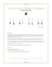 6.10 Ct.Tw.Total Carat Weight Emerald and Natural Diamond Halo Earrings, 18K White Gold Appraisal