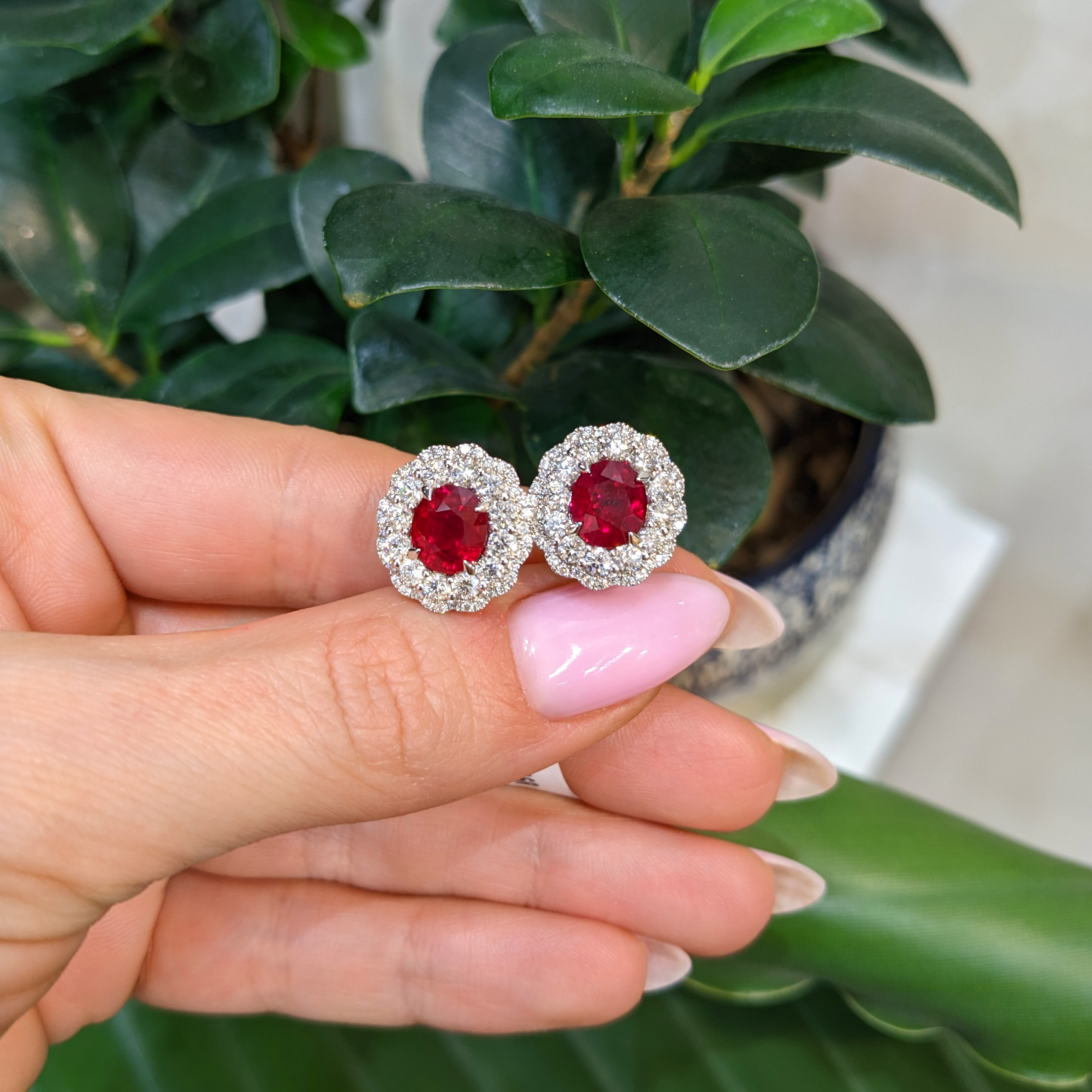 Ruby and Natural Diamond Studs Earrings - Oval 3.66 Ct. - 18K