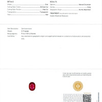 2.19 Ct. Ruby Natural Diamond Pave Ring, 18K White & Yellow Scan Report