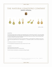 23.71 Ct.Tw.Total Carat Weight Multi Color Opal and Natural Diamond Pave Earrings, 18K Yellow Gold Appraisal