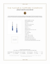 1.04 Ct.Tw. Blue Sapphire and Natural Diamond Pave Earrings, 14K White Gold Scan Report
