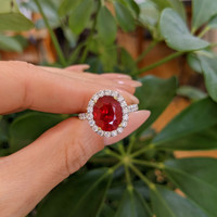 3.60 Ct. Ruby Natural Diamond Pave Ring, 18K White & Yellow Life Style