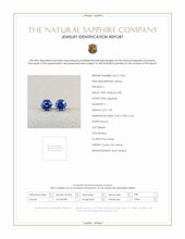 1.30 Ct.Tw. Blue Sapphire Studs Earrings, Platinum 950 Scan Report