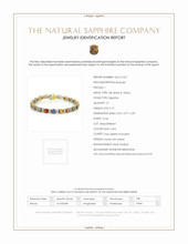 9.13 Ct.Tw. Multi Color Sapphire and Natural Diamond Pave Bracelet, 18K White & Yellow Scan Report