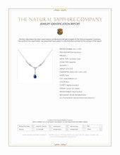 0.60 Ct. Blue Sapphire and Natural Diamond Pave Necklace, 14K White Gold Scan Report
